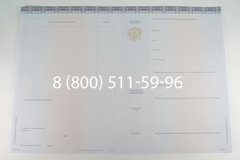 Диплом бакалавра (Киржач) 2014-2024 года в Оренбурге Диплом бакалавра (Киржач) 2014-2024 года в Оренбурге