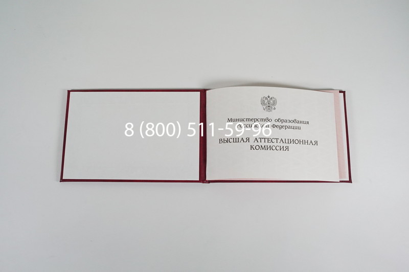 Диплом доктора наук 1995-2006 года в Оренбурге Диплом доктора наук 1995-2006 года в Оренбурге