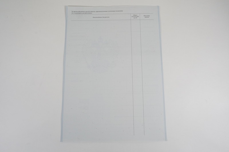 Диплом о начальном образовании 2007-2009 годов в Оренбурге Диплом о начальном образовании 2007-2009 годов в Оренбурге