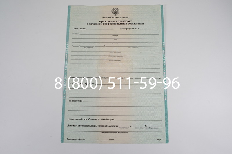 Диплом ПТУ 2014-2024 года в Оренбурге Диплом ПТУ 2014-2024 года в Оренбурге